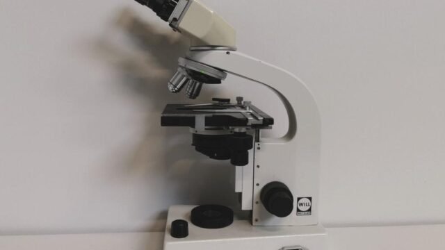microscope-will-wetdsfsdzlar-bx-300